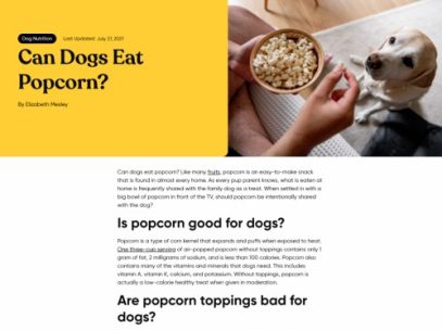 Cropped image showing the top of a blog post on Embark DNA titled "Can Dogs Eat Popcorn".