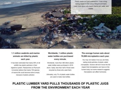 Screenshot of article by Elizabeth Mesley titled "How Does Plastic Impact the Environment."