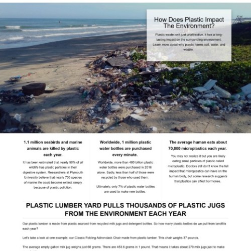 Screenshot of article by Elizabeth Mesley titled "How Does Plastic Impact the Environment."